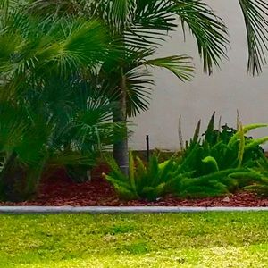 Meet your Posher, Roman